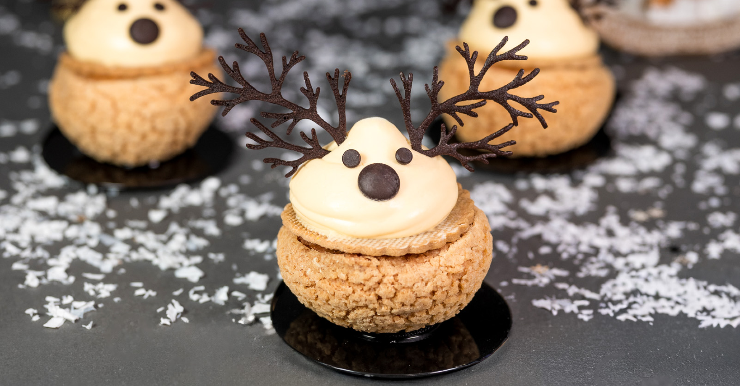 Reindeer<strong> Choux</strong>
