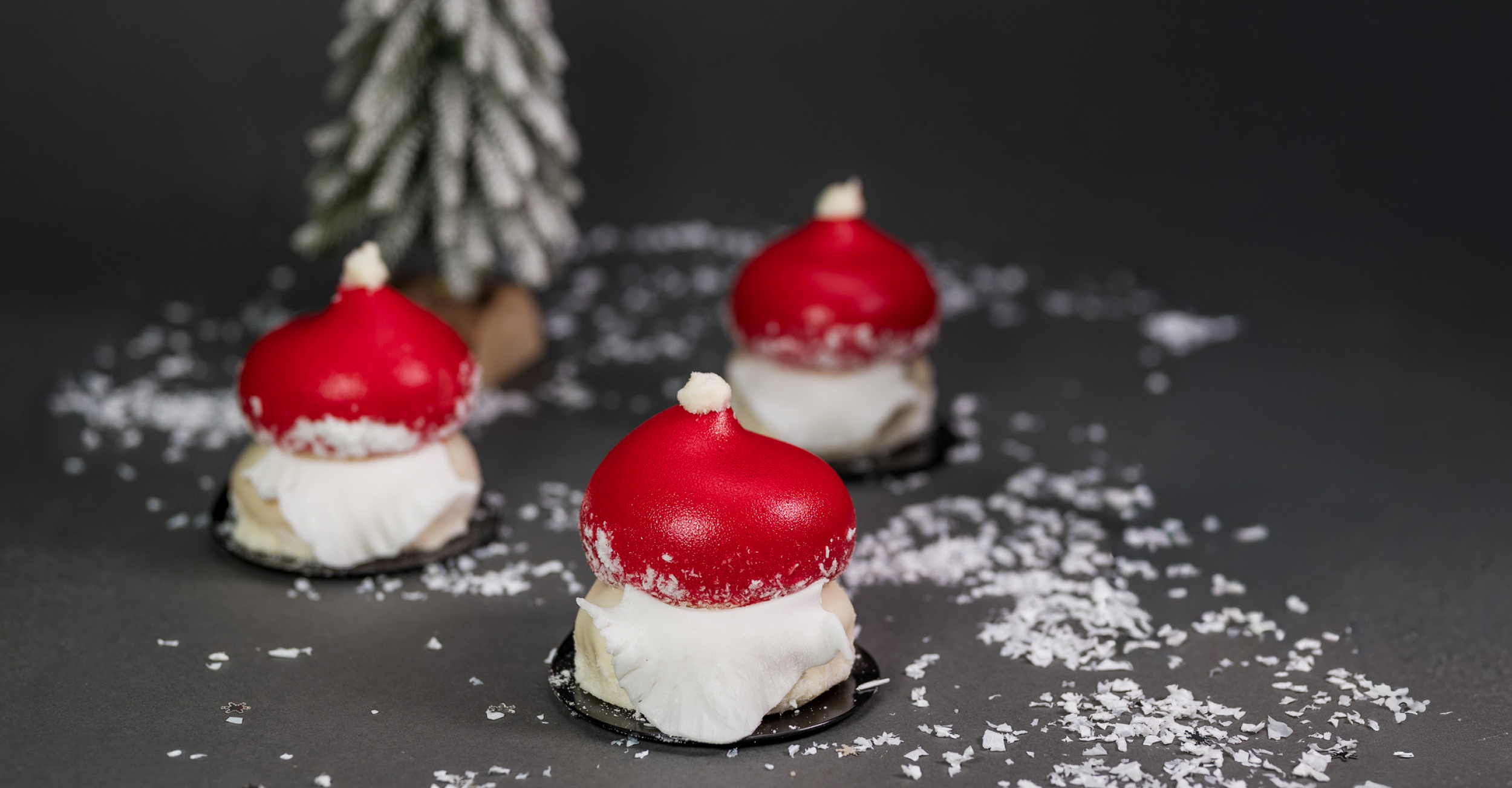 Mini <strong>Santa</strong>