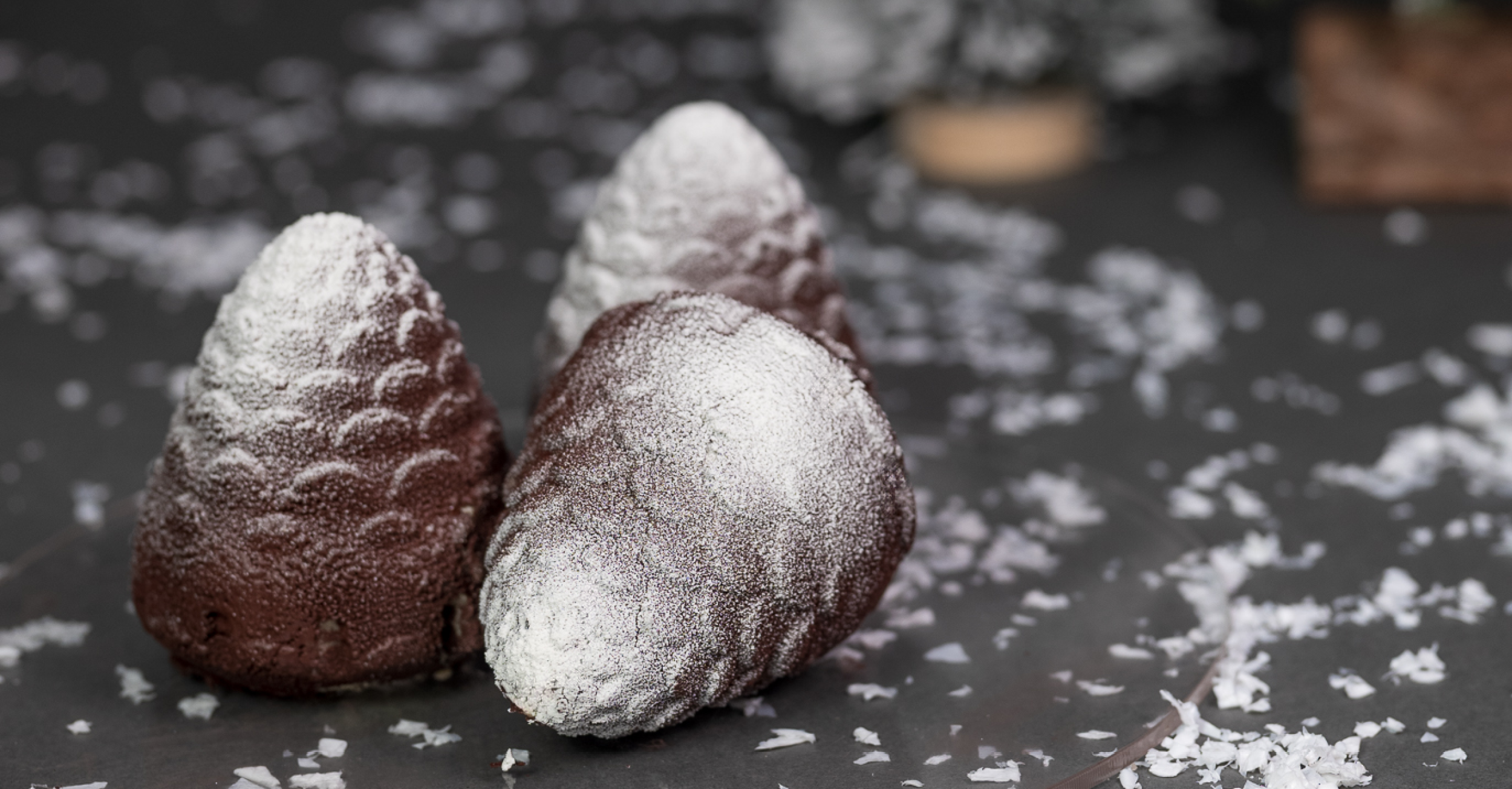 Pine<strong> Cones</strong>