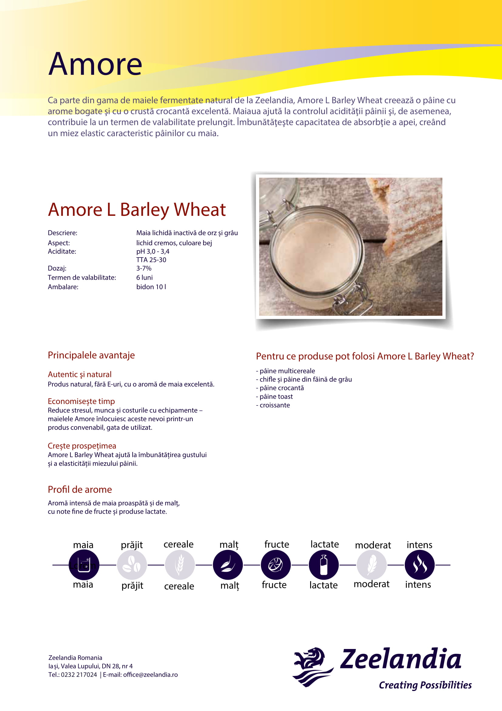 Amore_L_Barley_Wheat.2-1.jpg