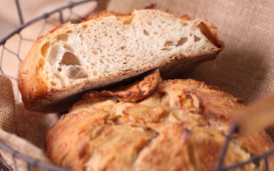 Silkgrain Wheat Vital