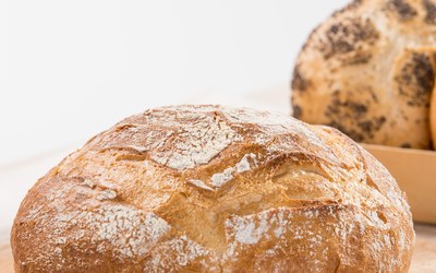 Zero Problem Gustoso