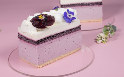 Blueberry Special Cake