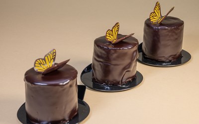 Chocolate Butterfly