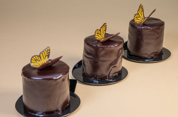 Chocolate Butterfly