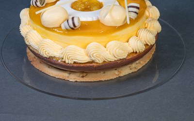 Tropical Mango Cake