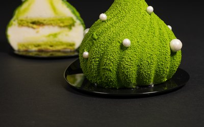 Green Christmas Delight