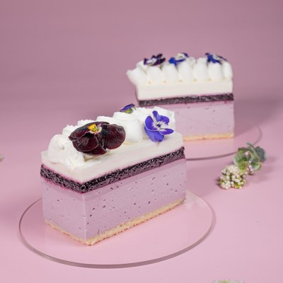 Blueberry Special Cake