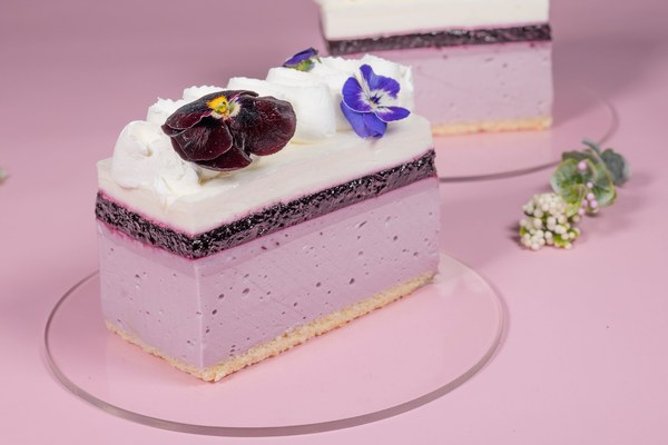 Blueberry Special Cake